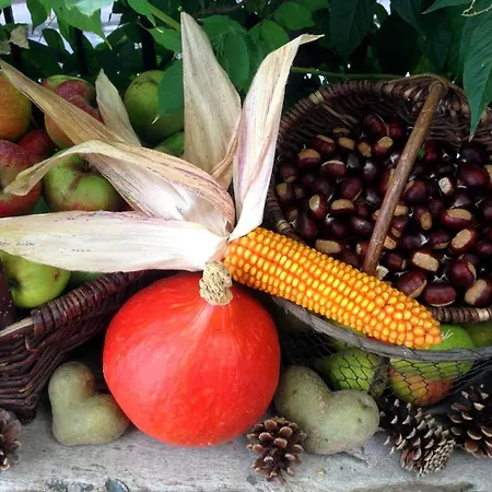 Gaestehaus Minkel Daire