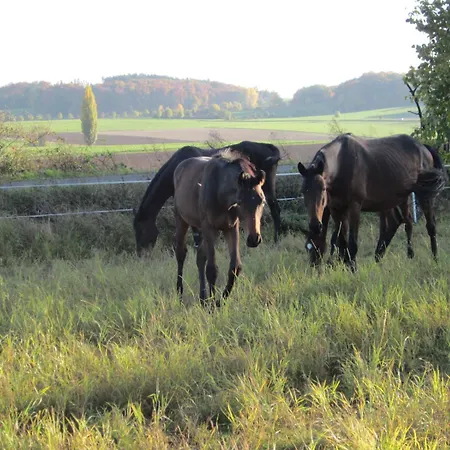 Gaestehaus Minkel Daire *