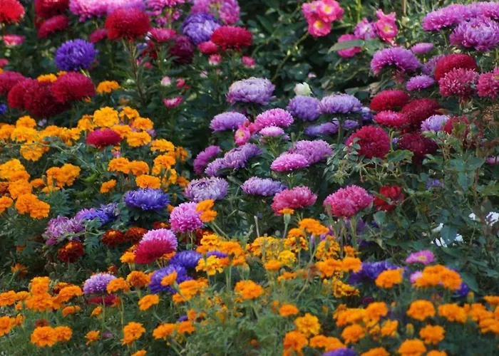 Gaestehaus Minkel شقة *