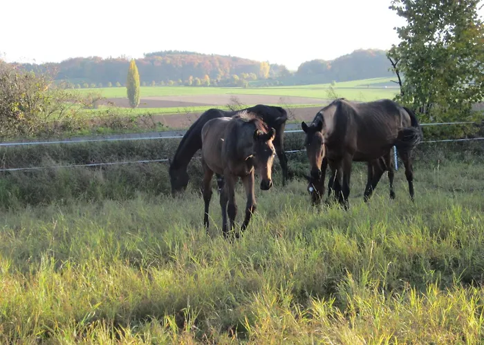 Gaestehaus Minkel شقة *